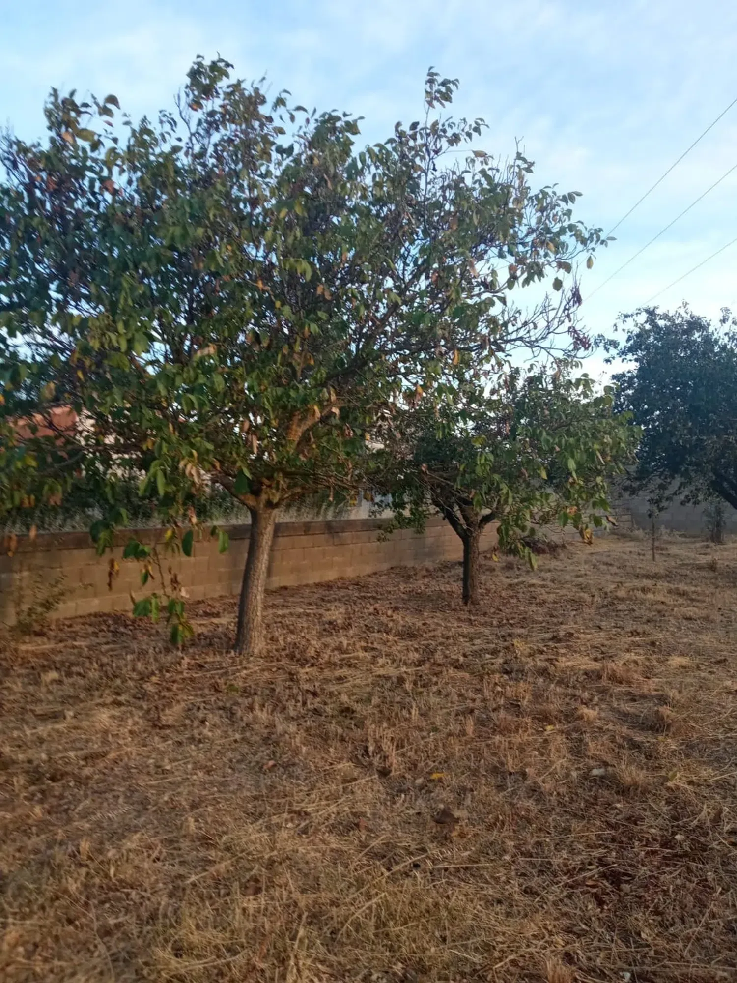 Imagen de terreno en Santa ines, 24