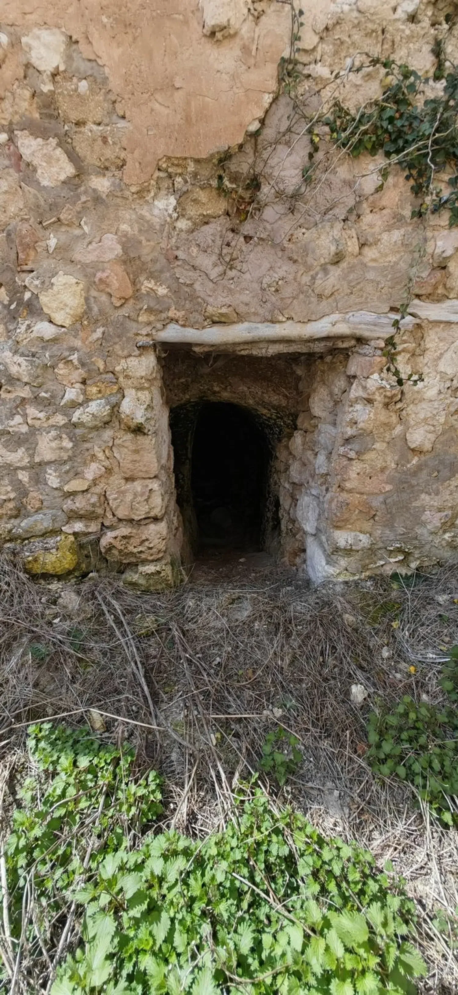 Imagen de casa o chalet independiente en Calle el Mesón, 10