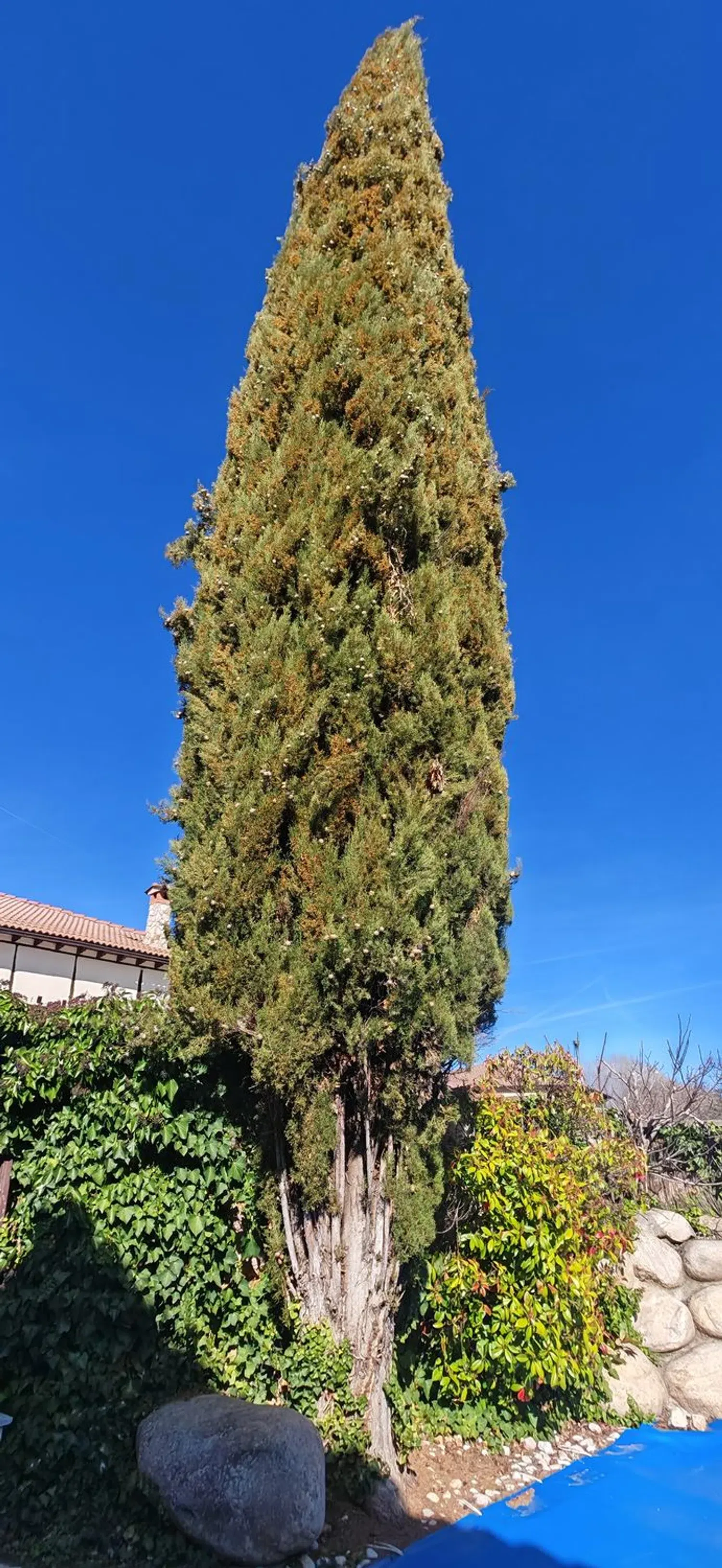 Imagen Jardín de casa rural en CL La Fuente, 13