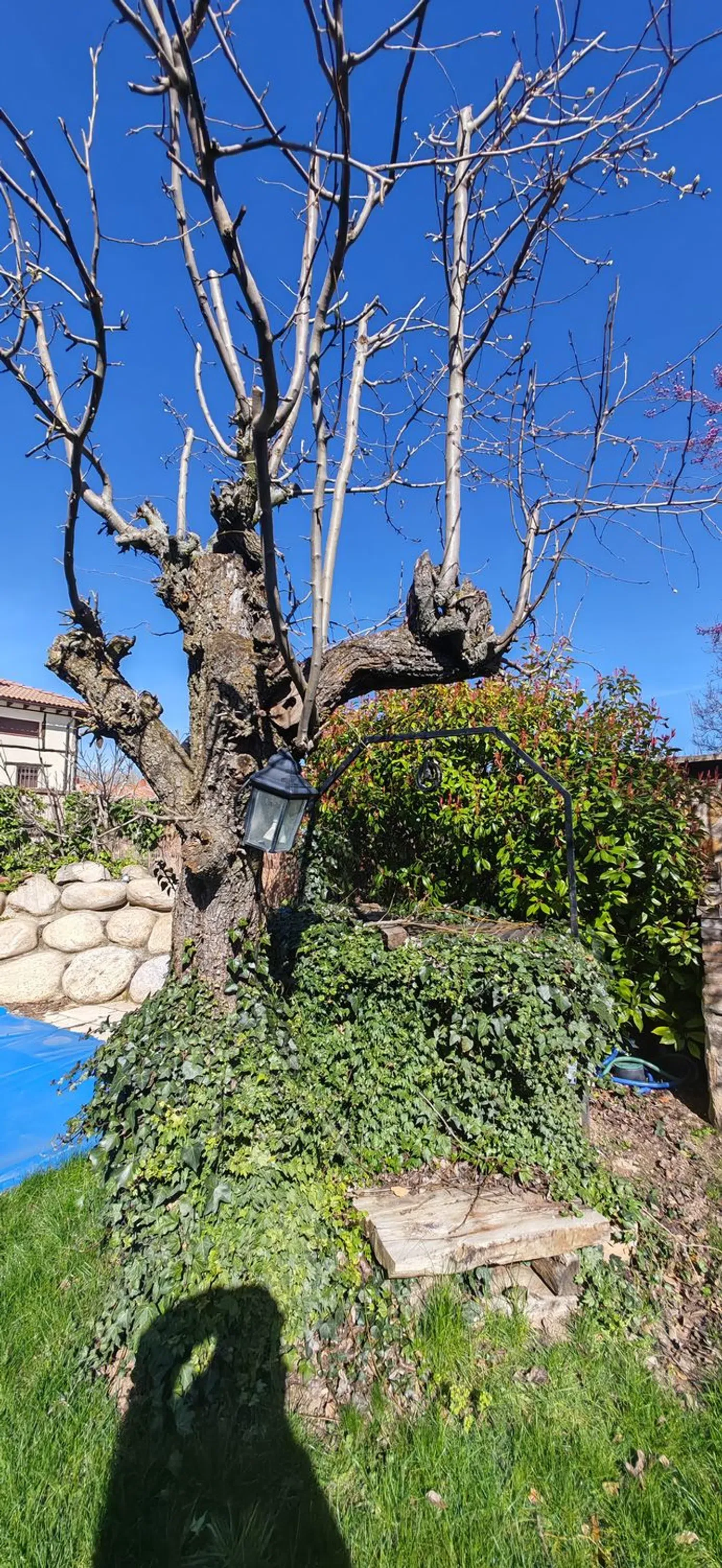 Imagen Jardín de casa rural en CL La Fuente, 13
