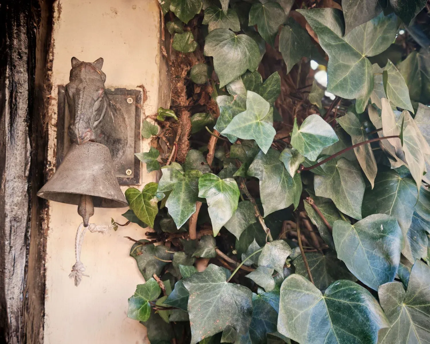 Imagen Detalles de casa rural en CL La Fuente, 13
