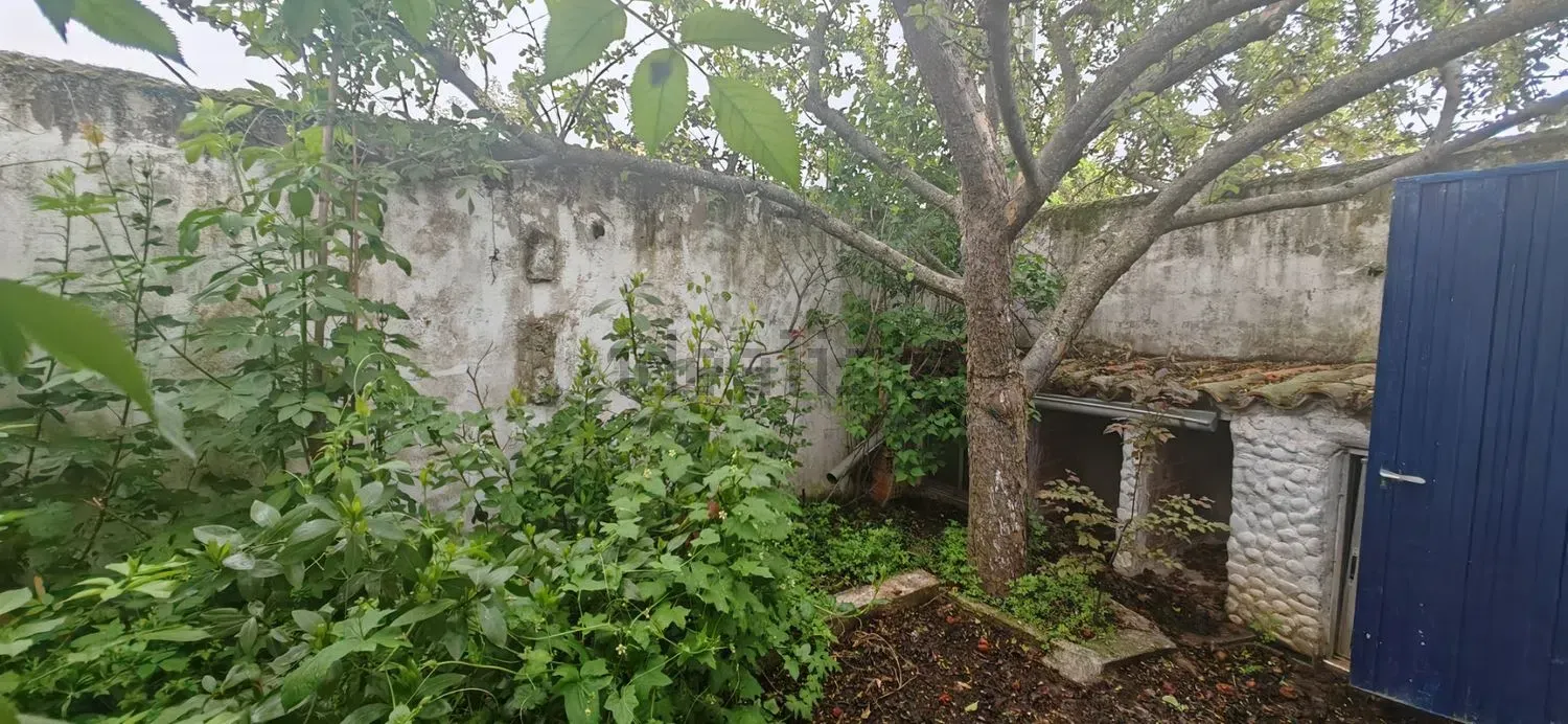 Imagen Jardín de casa de pueblo en Calle Arroyo, 18