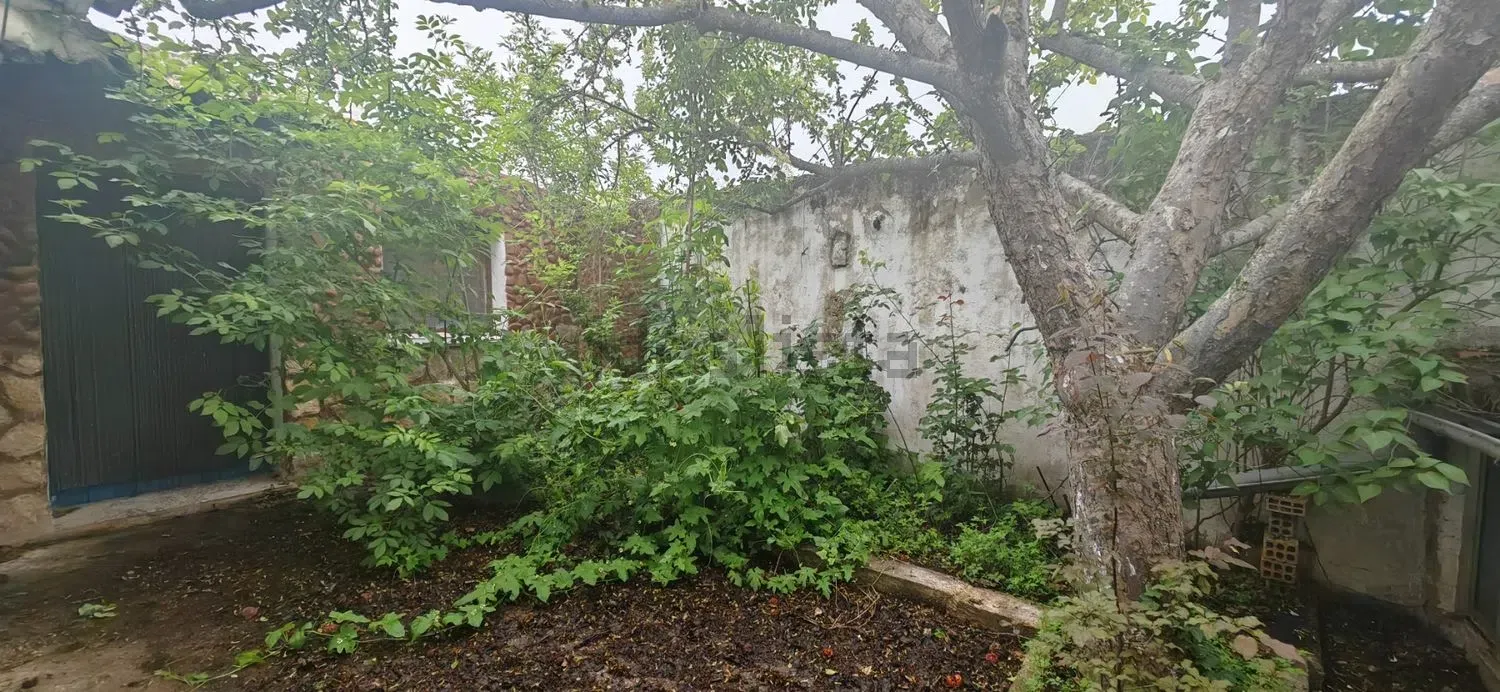 Imagen Jardín de casa de pueblo en Calle Arroyo, 18